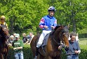 Neue Bult Mai09   060